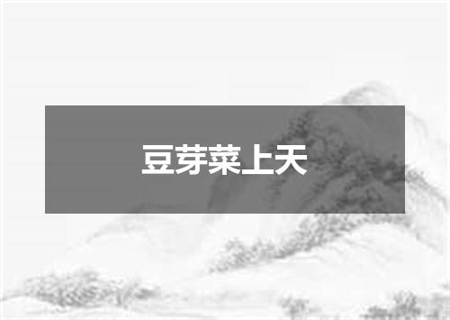 豆芽菜上天