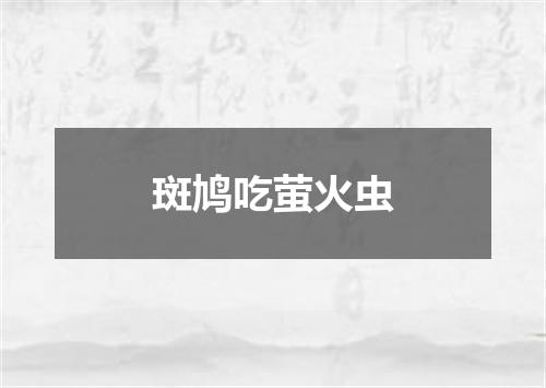 斑鸠吃萤火虫