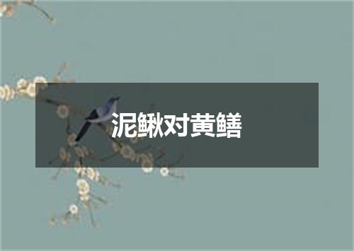 泥鳅对黄鳝