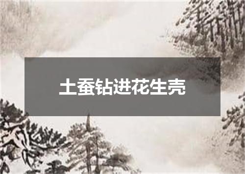 土蚕钻进花生壳