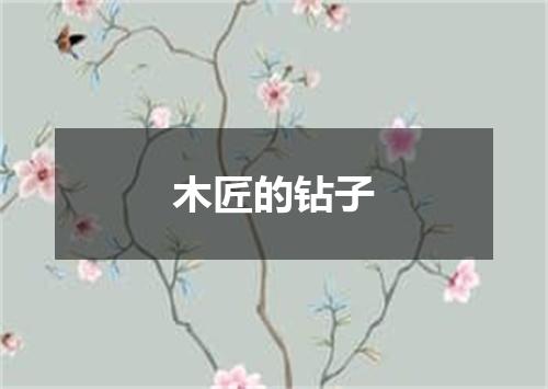 木匠的钻子