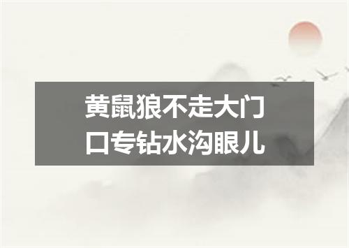 黄鼠狼不走大门口专钻水沟眼儿
