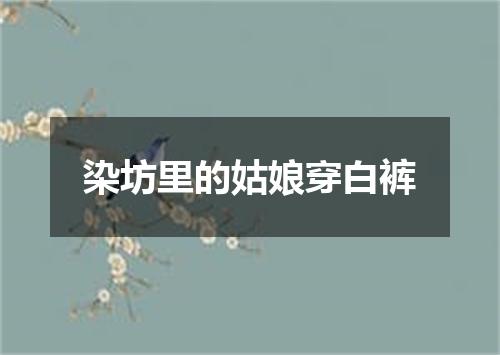 染坊里的姑娘穿白裤