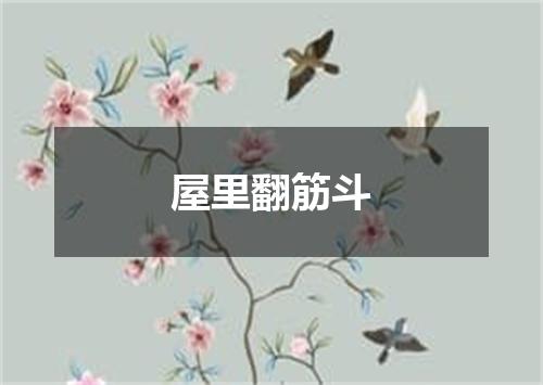 屋里翻筋斗