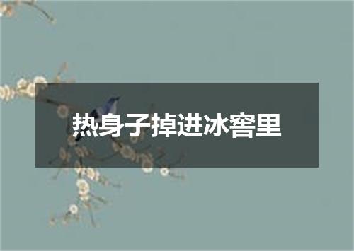 热身子掉进冰窖里