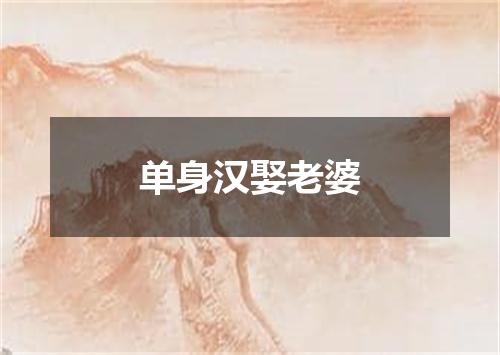 单身汉娶老婆