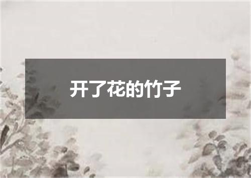 开了花的竹子