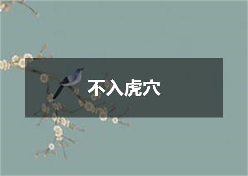 不入虎穴