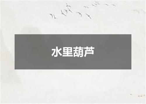 水里葫芦