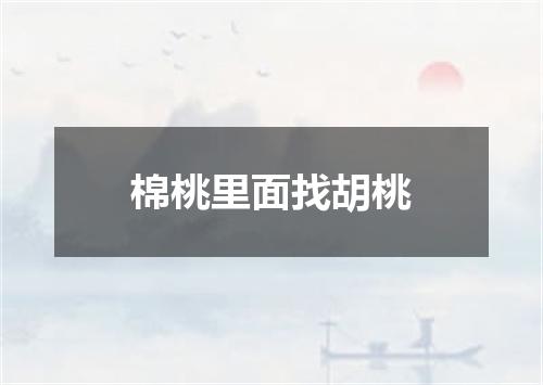 棉桃里面找胡桃