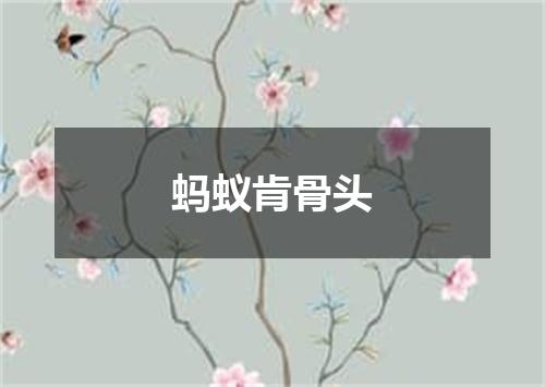 蚂蚁肯骨头