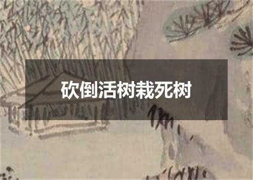 砍倒活树栽死树