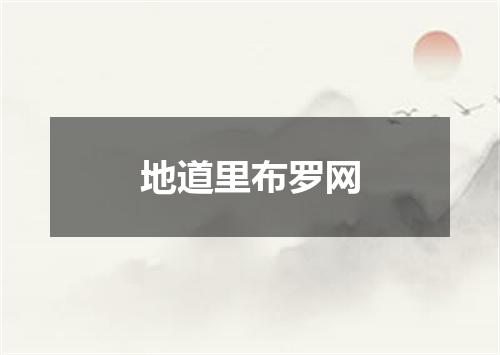 地道里布罗网