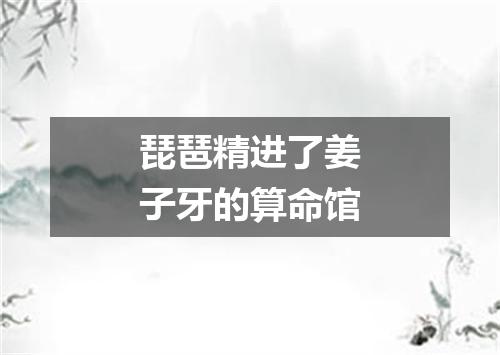 琵琶精进了姜子牙的算命馆