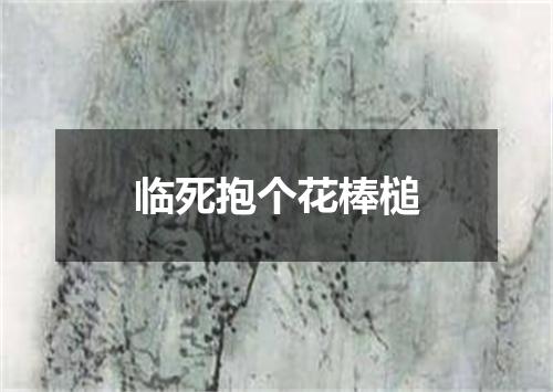 临死抱个花棒槌