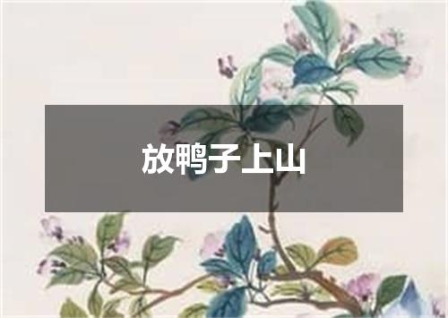 放鸭子上山
