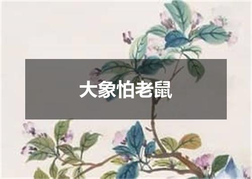 大象怕老鼠