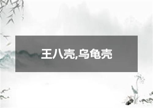 王八壳,乌龟壳