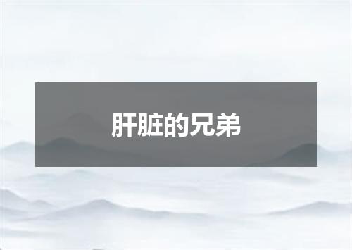 肝脏的兄弟