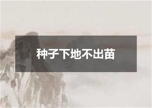 种子下地不出苗