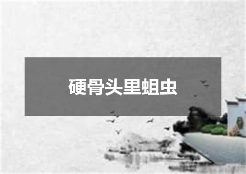 硬骨头里蛆虫