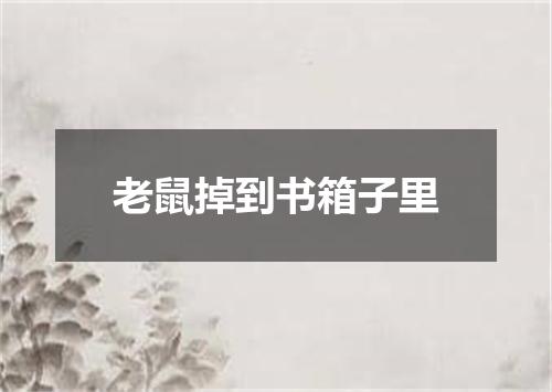 老鼠掉到书箱子里