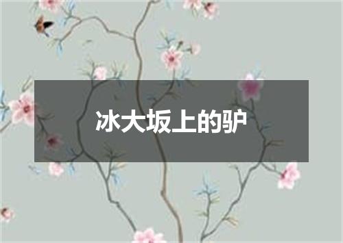 冰大坂上的驴