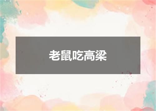 老鼠吃高梁