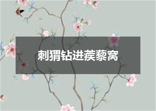 刺猬钻进蒺藜窝