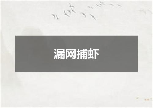漏网捕虾