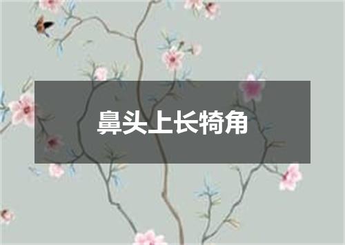 鼻头上长犄角