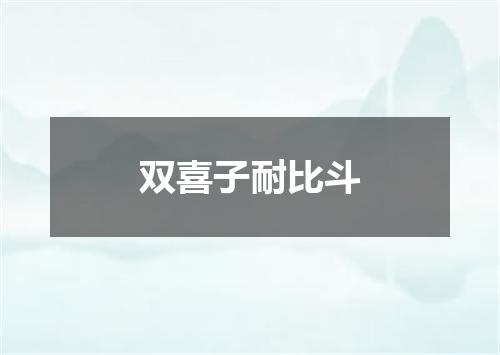 双喜子耐比斗