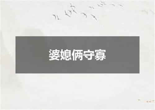 婆媳俩守寡