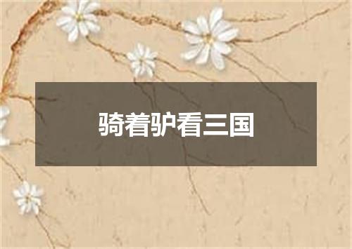 骑着驴看三国