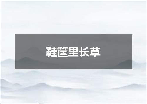 鞋筐里长草