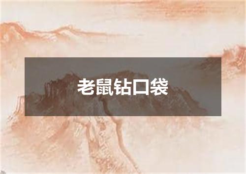 老鼠钻口袋