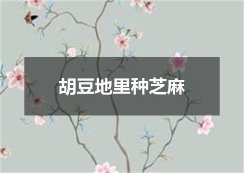 胡豆地里种芝麻