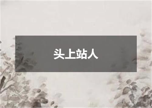 头上站人
