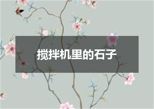 搅拌机里的石子