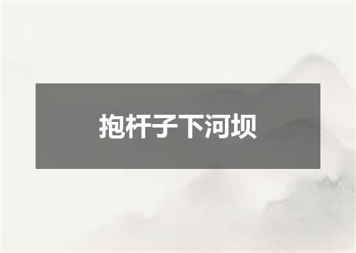 抱杆子下河坝