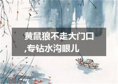 黄鼠狼不走大门口,专钻水沟眼儿
