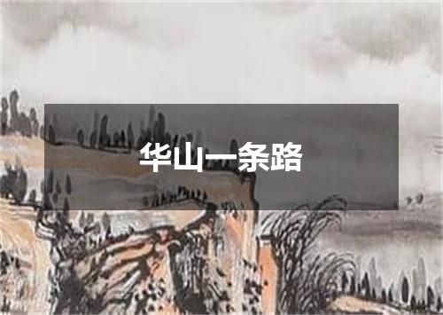华山一条路