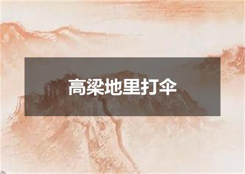 高梁地里打伞