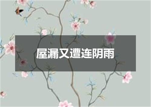 屋漏又遭连阴雨
