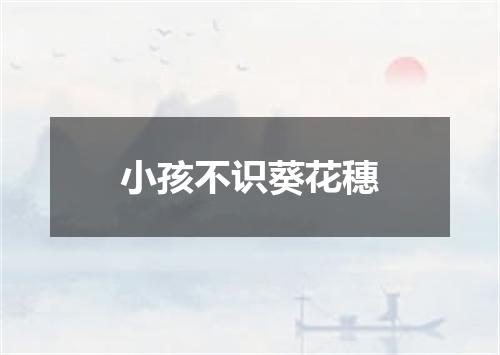 小孩不识葵花穗