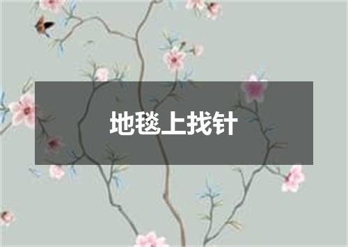 地毯上找针