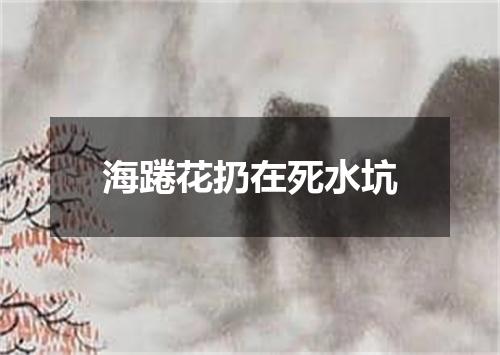 海踡花扔在死水坑