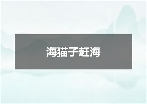 海猫子赶海
