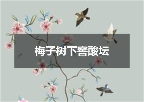 梅子树下窖酸坛
