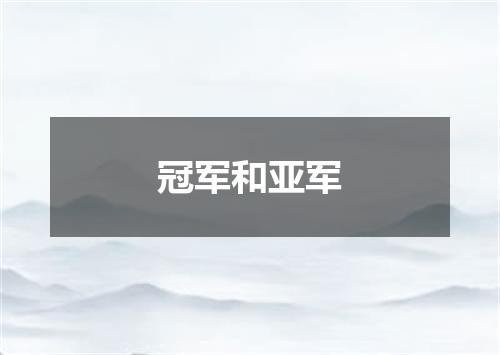 冠军和亚军